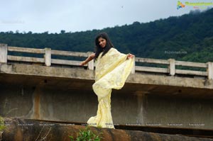 Nisha Shah Saree Photos