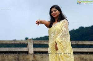 Nisha Shah Saree Photos