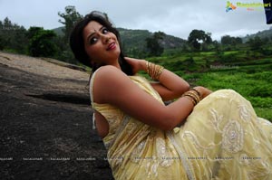 Nisha Shah Saree Photos