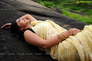 Nisha Shah Saree Photos