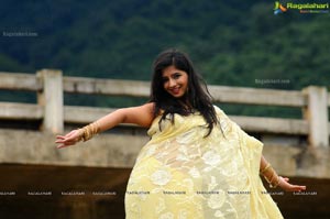 Nisha Shah Saree Photos