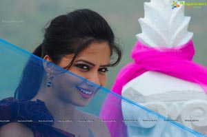 Nisha Shah Wallpapers