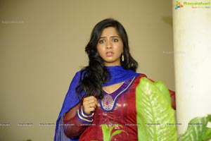 Nisha Shah Wallpapers