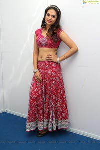 Shraddha Das at Santoor Maha Jalsa 4