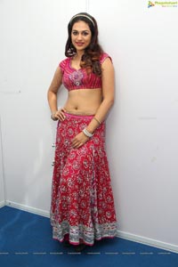 Shraddha Das at Santoor Maha Jalsa 4