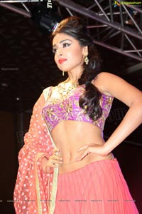 Shriya Saran at Passionate Fashion Show