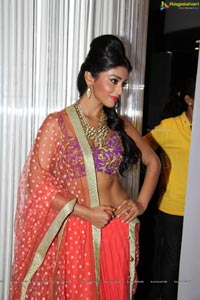 Shriya Saran at Passionate Fashion Show