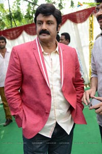 Balakrishna - Satyadev new film Muhurat