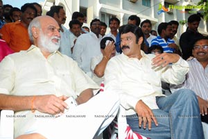 Balakrishna - Satyadev new film Muhurat