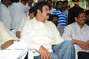 Balakrishna - Satyadev new film Muhurat