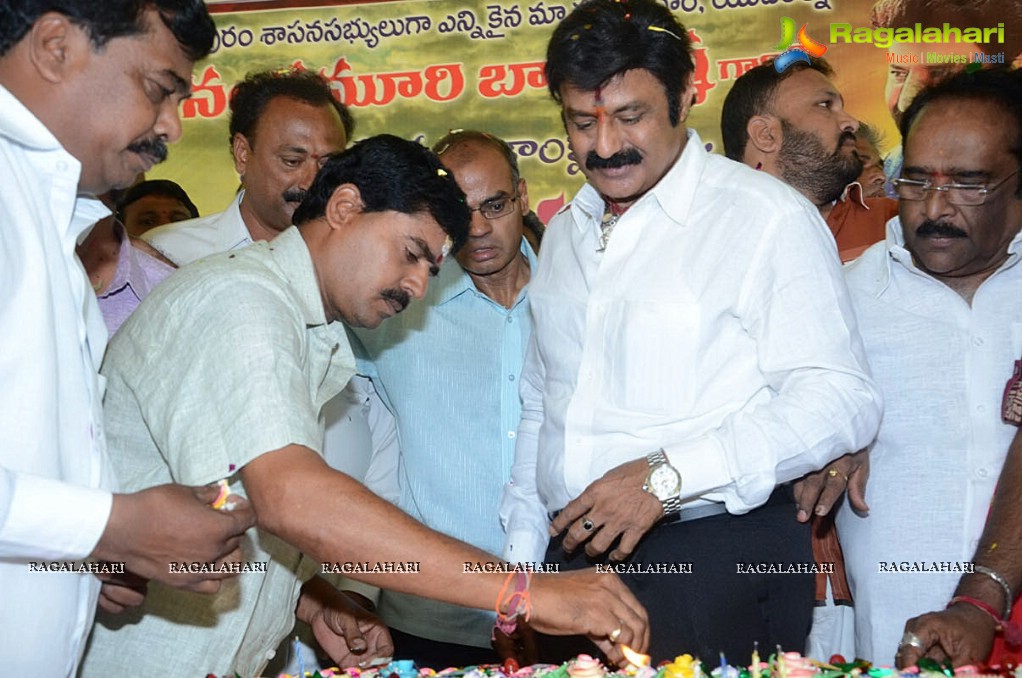 Balakrishna Birthday Celebrations 2014