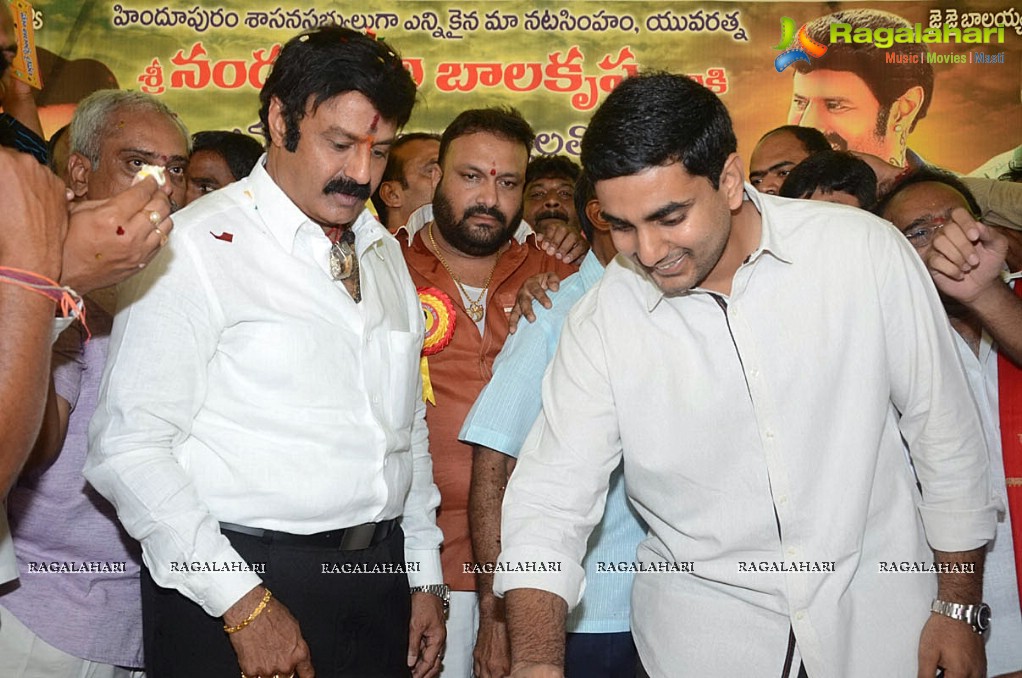 Balakrishna Birthday Celebrations 2014