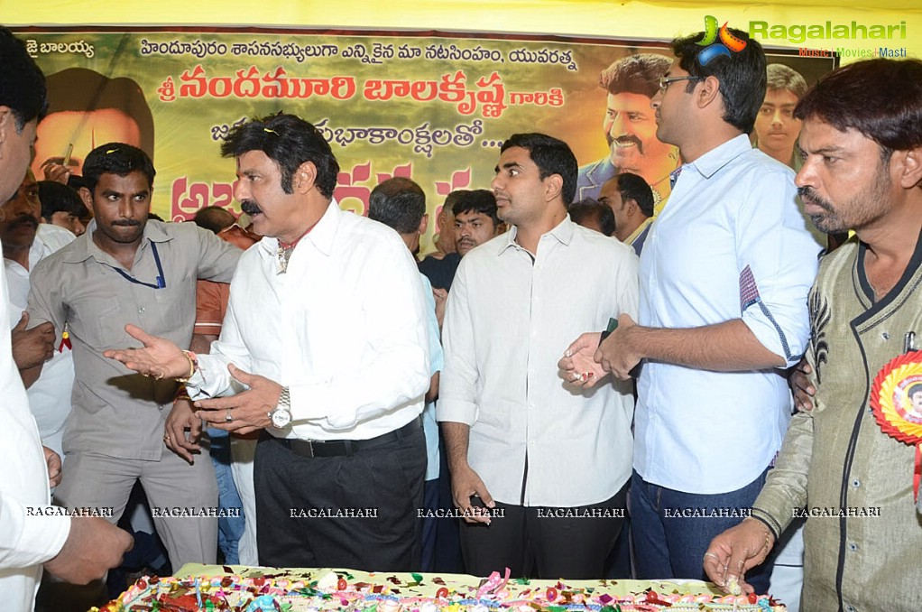 Balakrishna Birthday Celebrations 2014