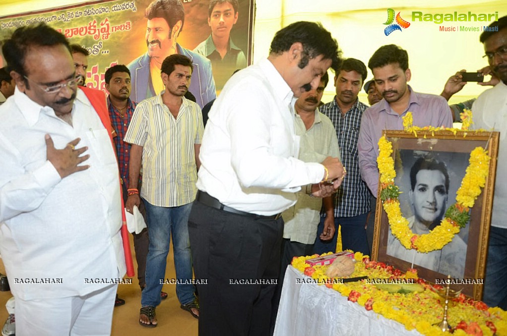 Balakrishna Birthday Celebrations 2014