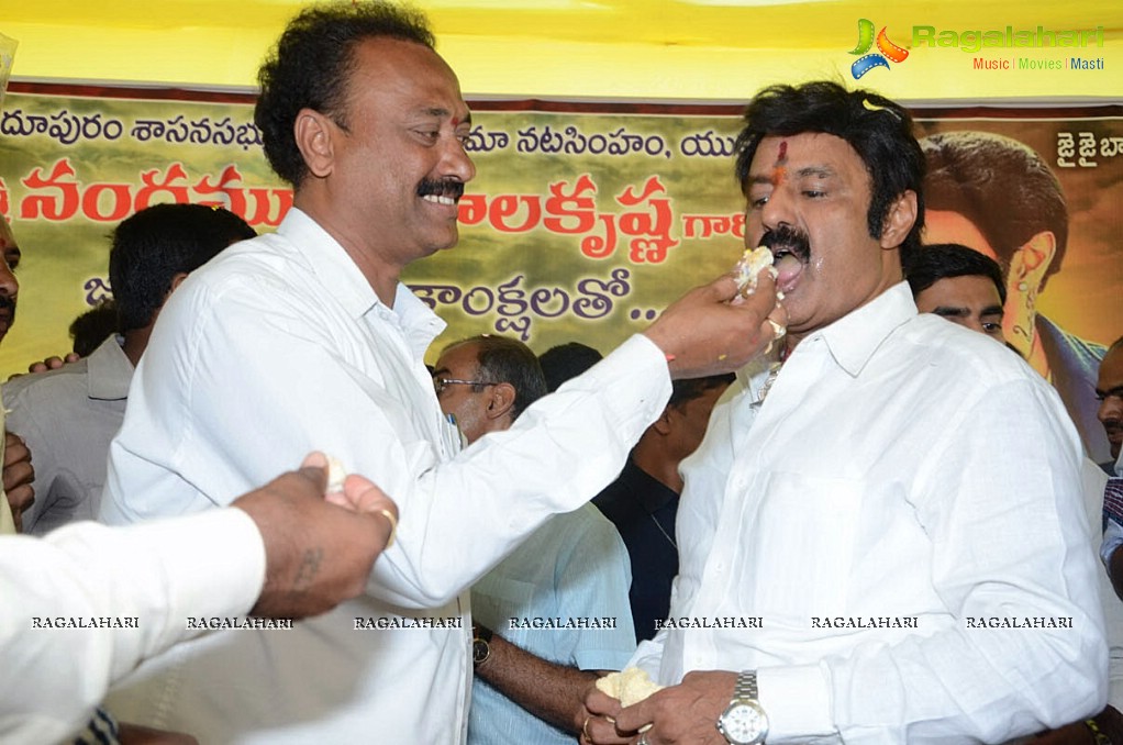 Balakrishna Birthday Celebrations 2014