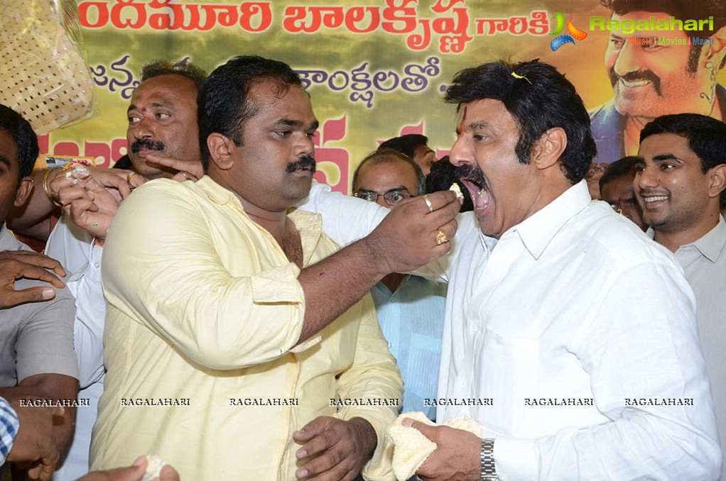 Balakrishna Birthday Celebrations 2014