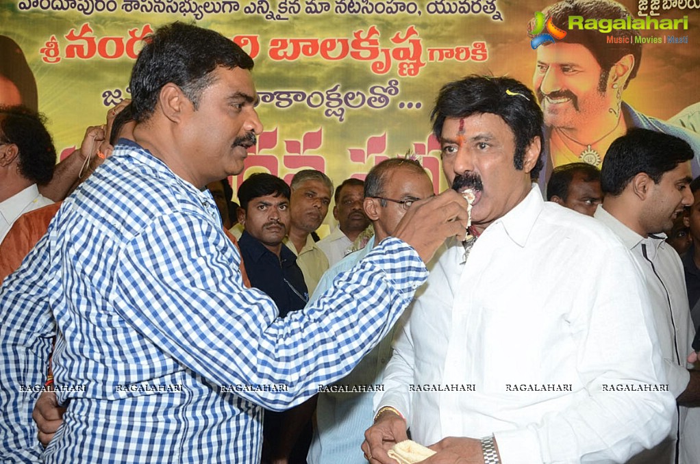 Balakrishna Birthday Celebrations 2014