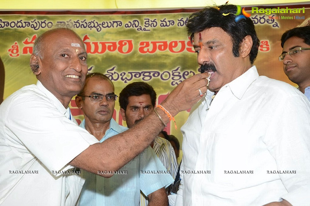 Balakrishna Birthday Celebrations 2014