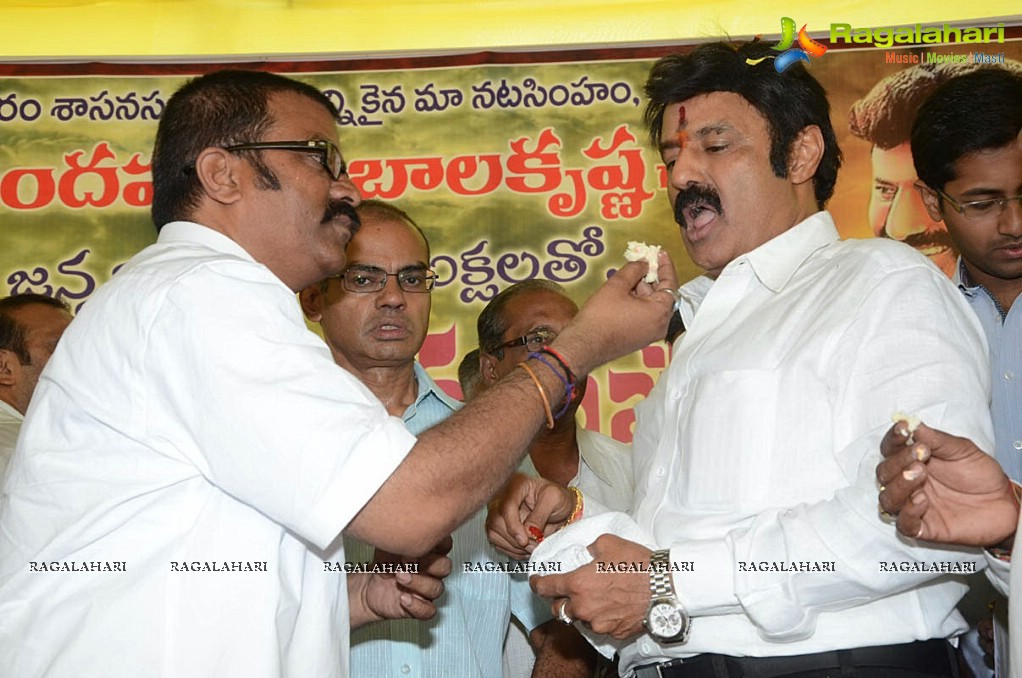 Balakrishna Birthday Celebrations 2014