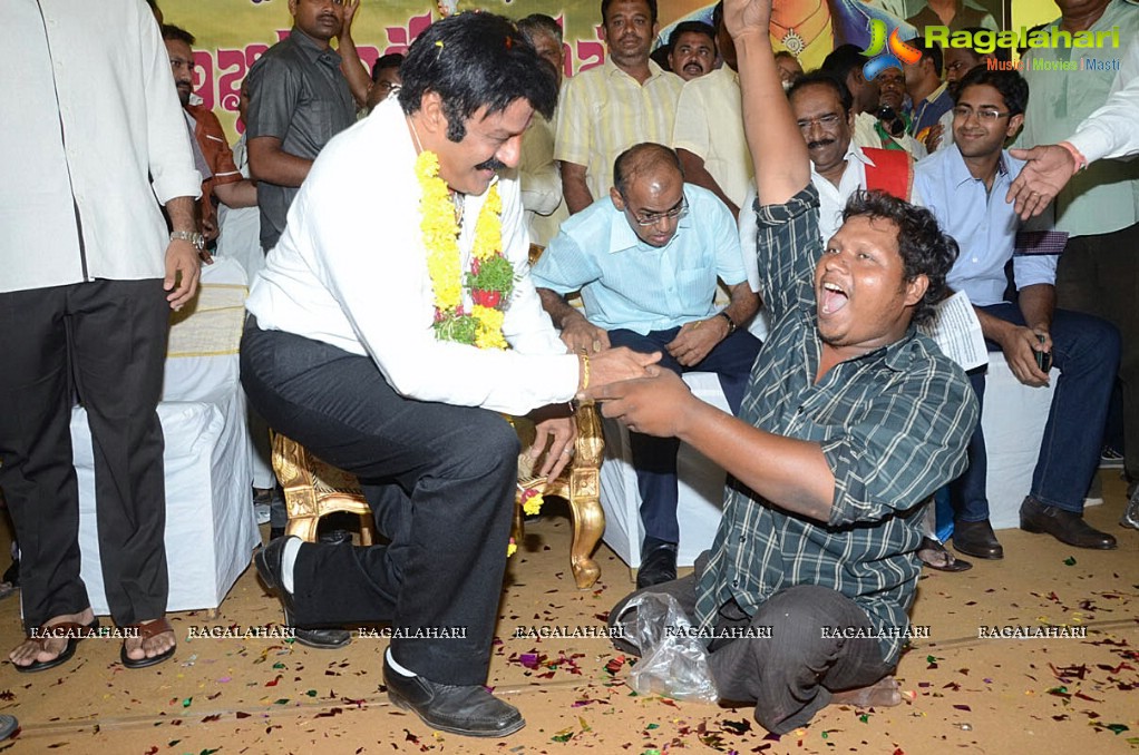 Balakrishna Birthday Celebrations 2014