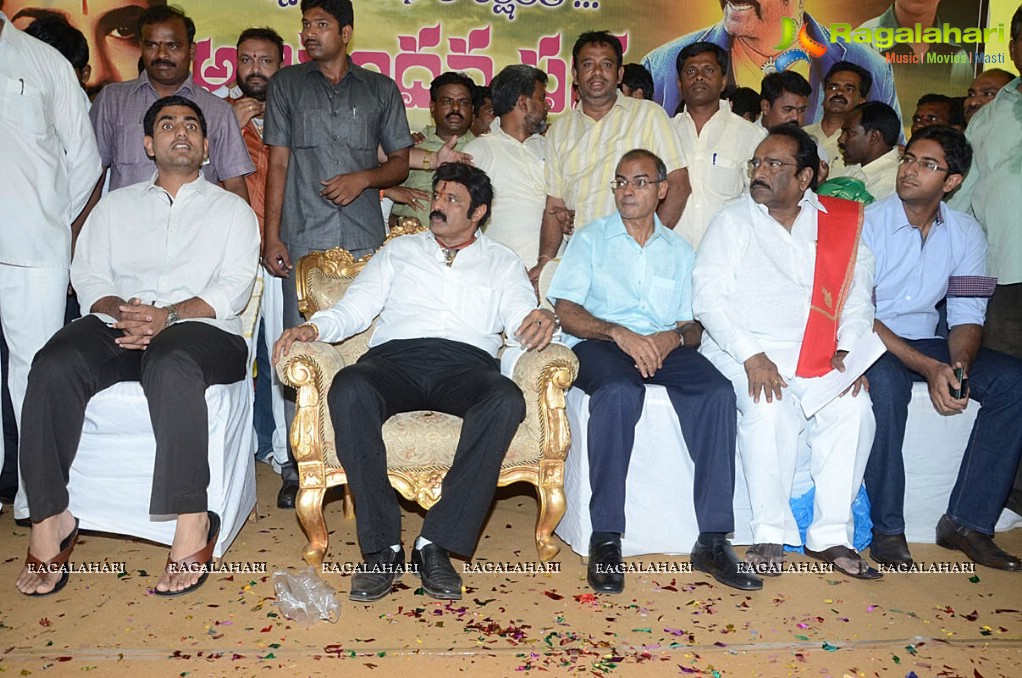 Balakrishna Birthday Celebrations 2014