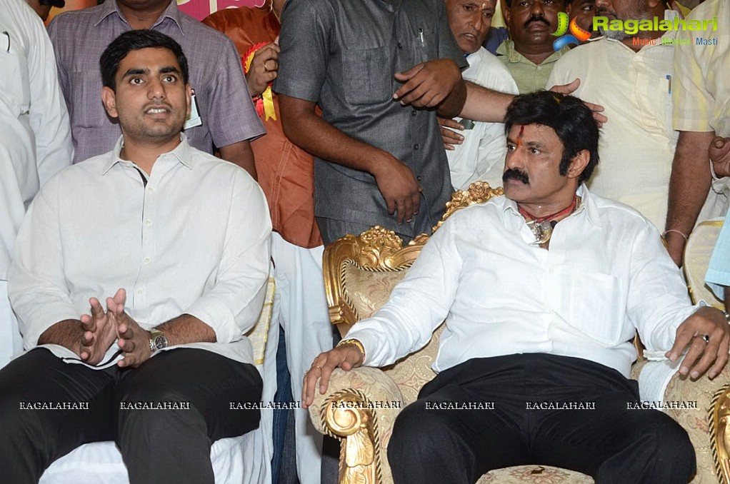 Balakrishna Birthday Celebrations 2014