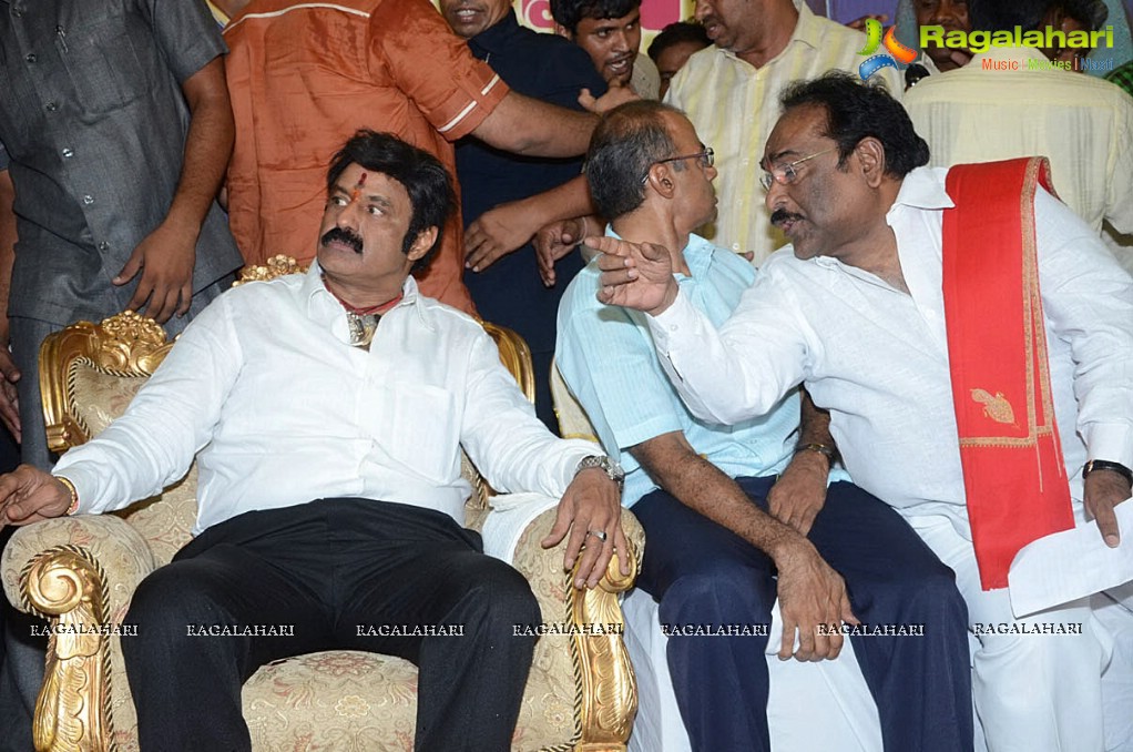 Balakrishna Birthday Celebrations 2014