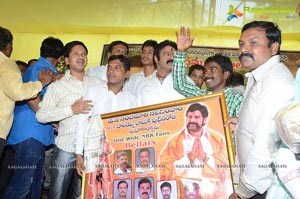 Balayya Birthday