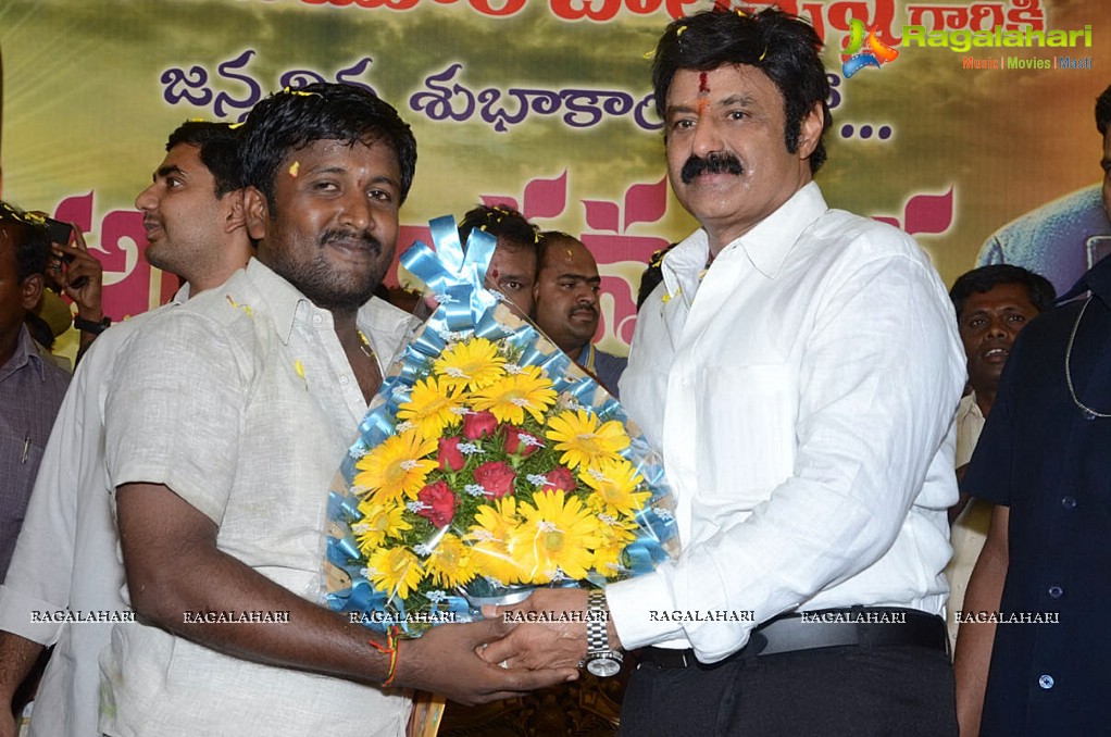 Balakrishna Birthday Celebrations 2014