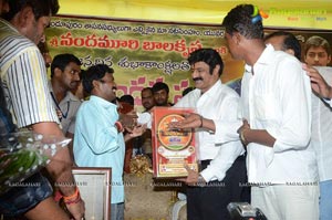 Balayya Birthday