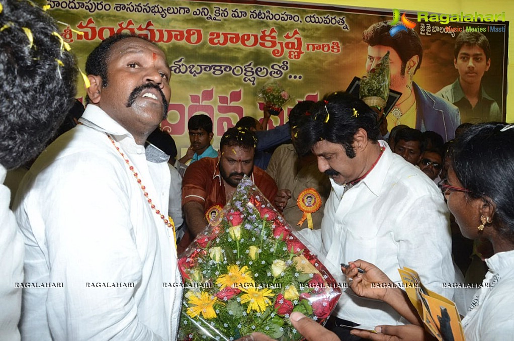 Balakrishna Birthday Celebrations 2014