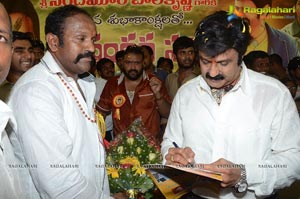 Balayya Birthday