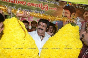 Balayya Birthday