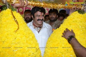 Balayya Birthday