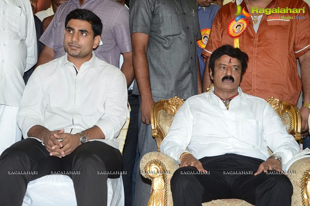 Balakrishna Birthday Celebrations 2014