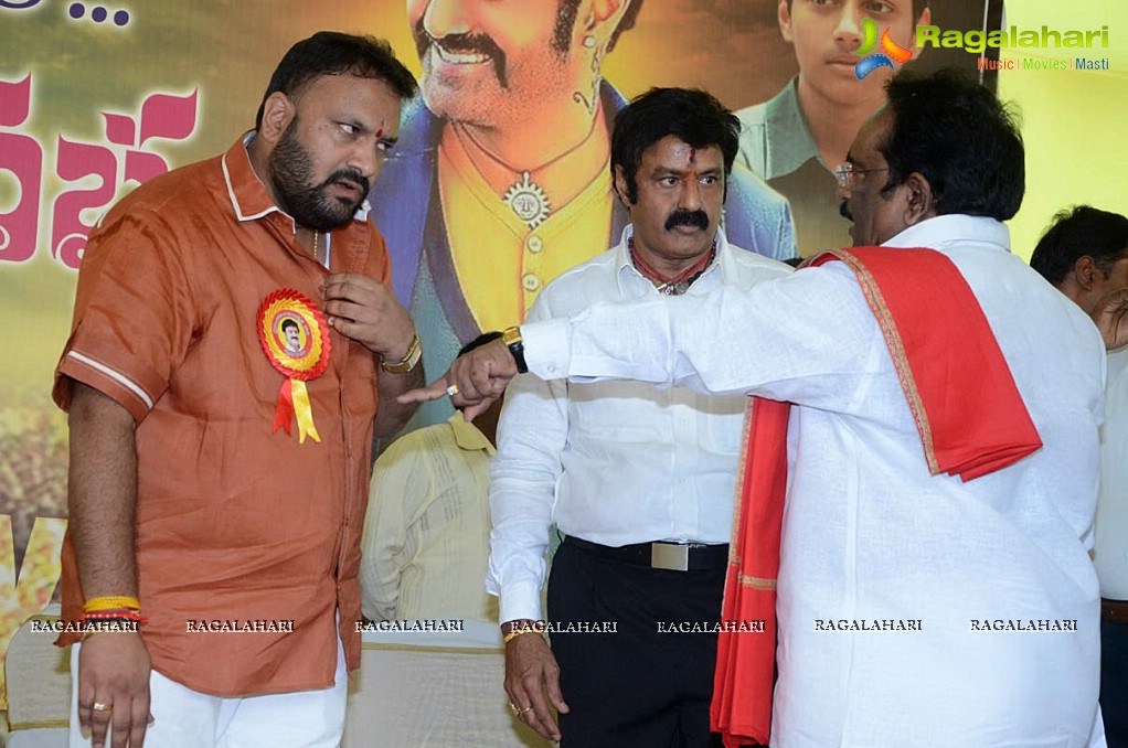 Balakrishna Birthday Celebrations 2014