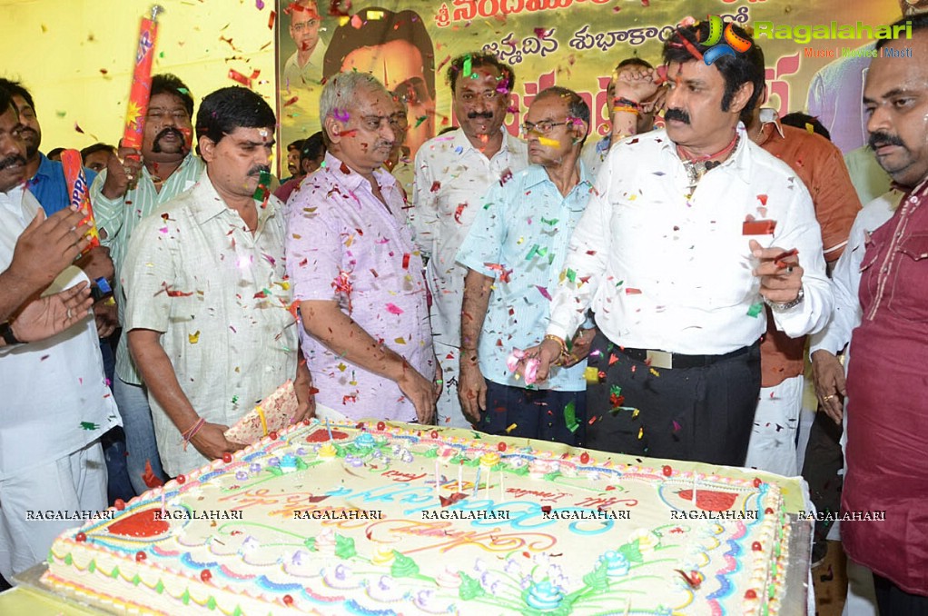 Balakrishna Birthday Celebrations 2014