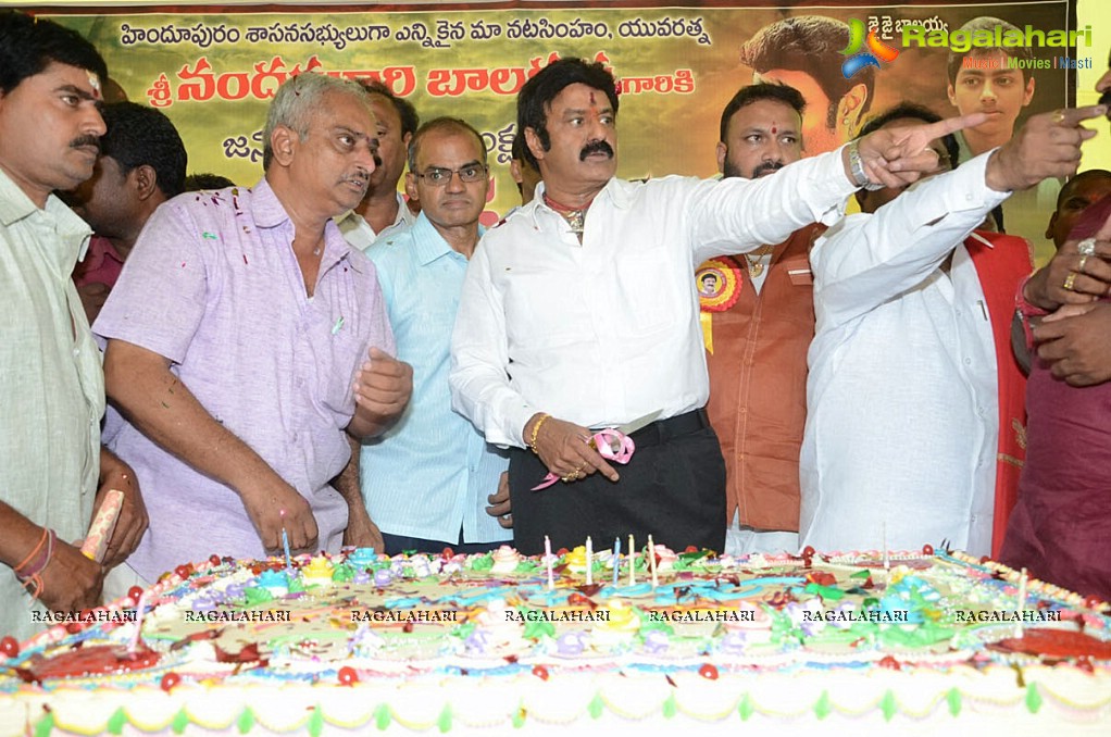 Balakrishna Birthday Celebrations 2014