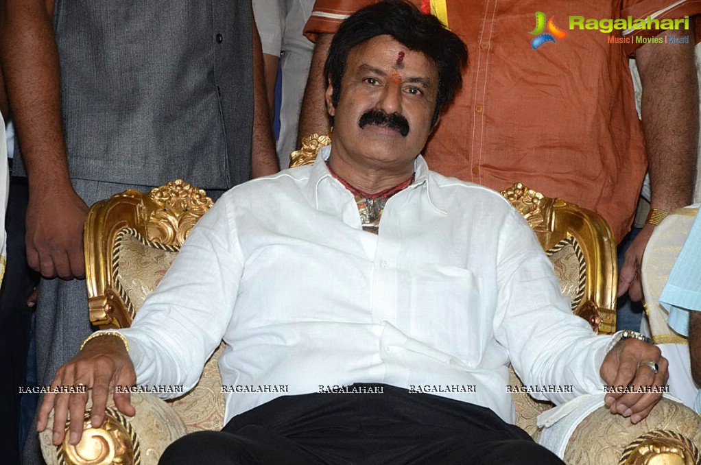 Balakrishna Birthday Celebrations 2014