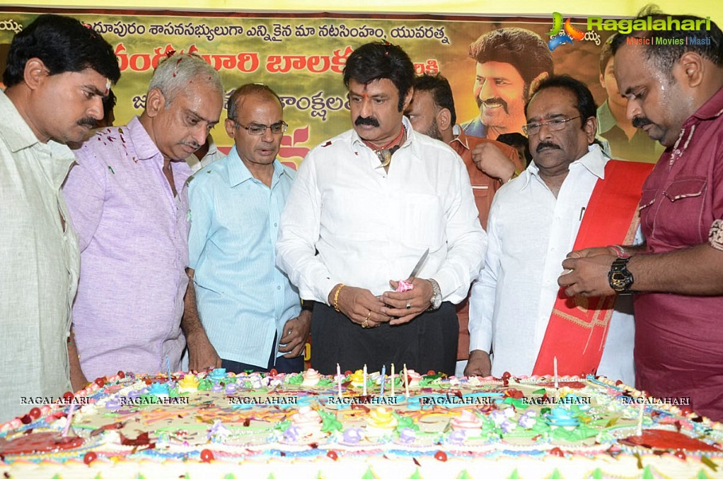 Balakrishna Birthday Celebrations 2014