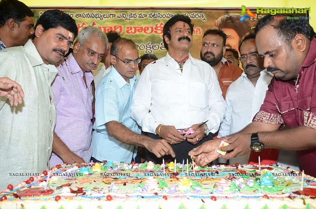 Balakrishna Birthday Celebrations 2014