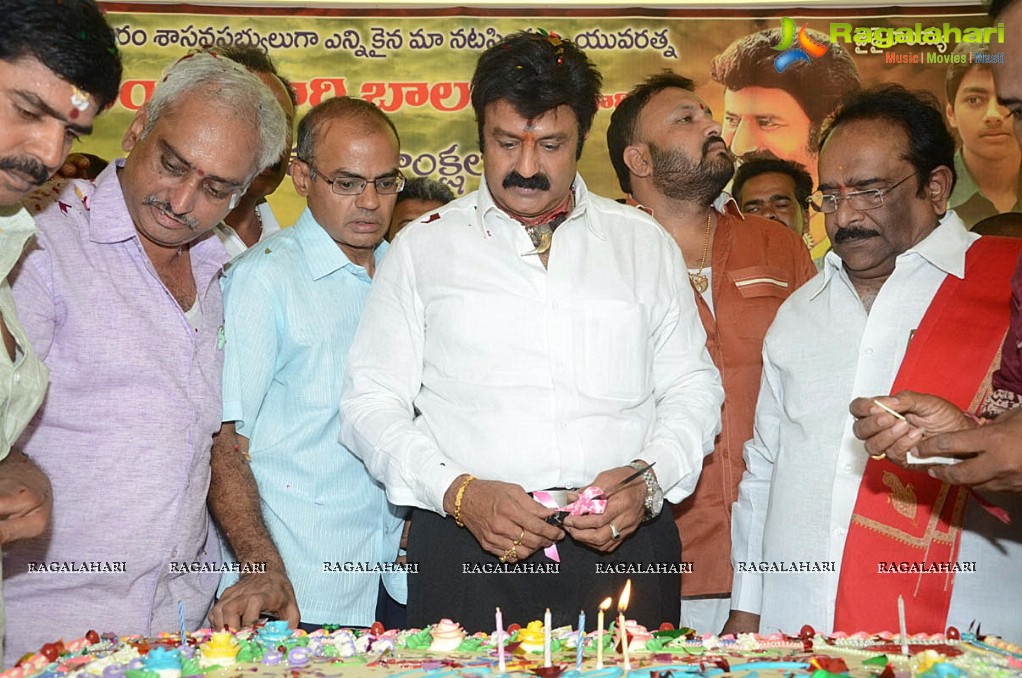 Balakrishna Birthday Celebrations 2014