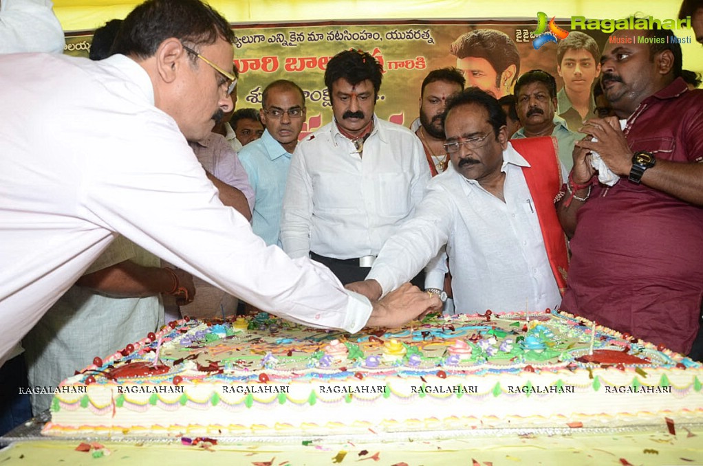 Balakrishna Birthday Celebrations 2014