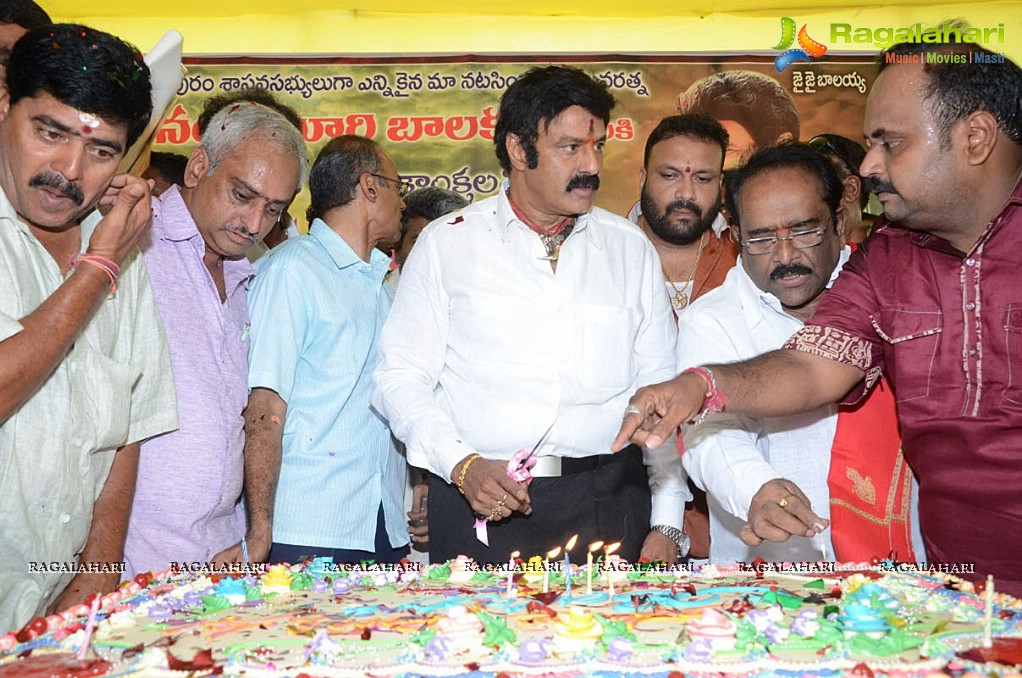 Balakrishna Birthday Celebrations 2014