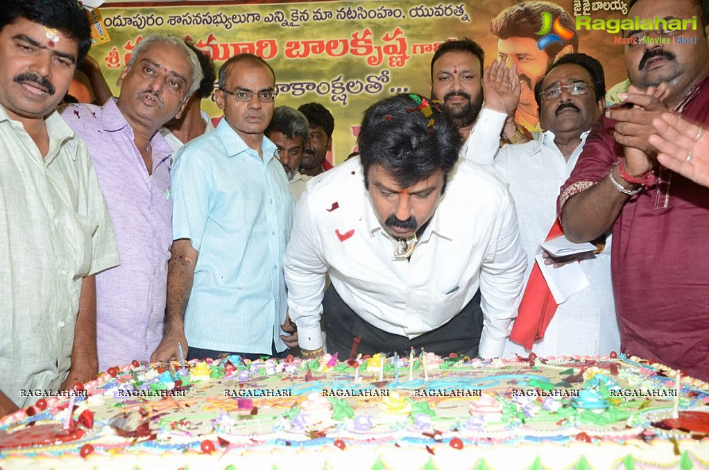 Balakrishna Birthday Celebrations 2014