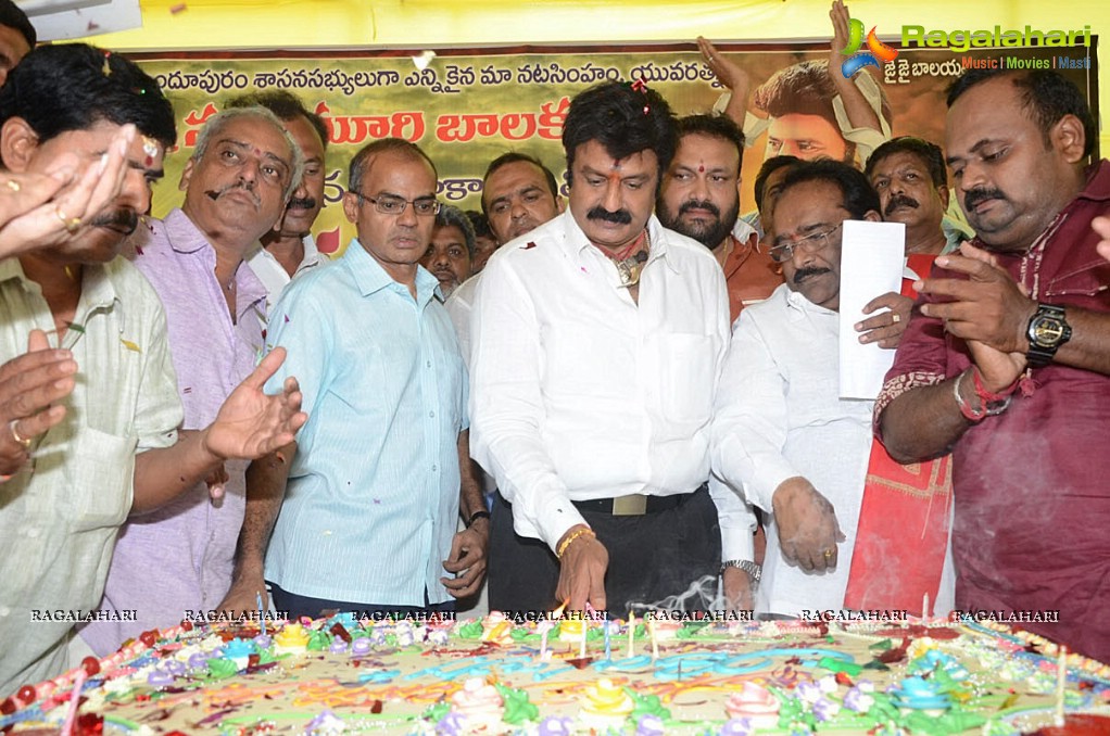 Balakrishna Birthday Celebrations 2014