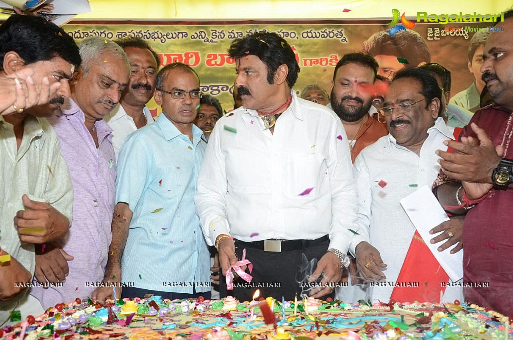 Balakrishna Birthday Celebrations 2014