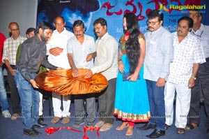 Janmasthanam Audio Release