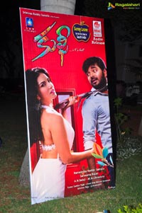 Kulfi Audio Release