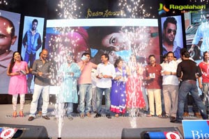 Nee Jathaga Nenundali Audio Release